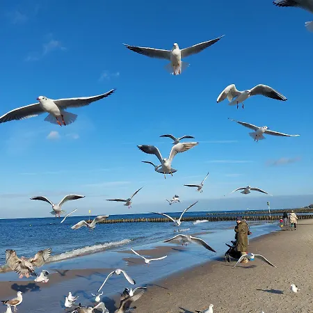 Apartamento Diva Prywatny 2 Pokojowy Kołobrzeg